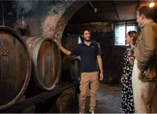 Visita delle cantine storiche